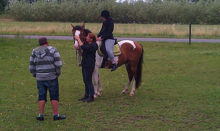 Anden særlig race Bjørnegårds Memento - Med rytter for første gang :) mig! billede 11