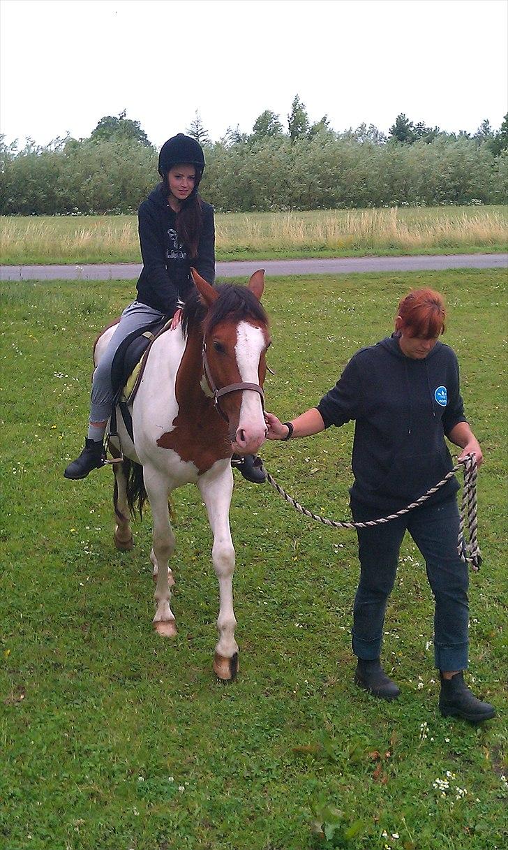 Anden særlig race Bjørnegårds Memento - Elsker min dreng <3 billede 13