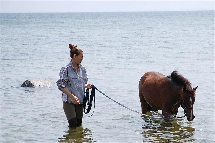 Anden særlig race Lykkebo's Athena - Min søster og Athena 14 måneder gammel - I vandet for 2. gang billede 9
