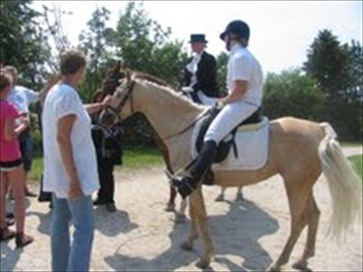 Tysk Sportspony Lolita A-pony* billede 2