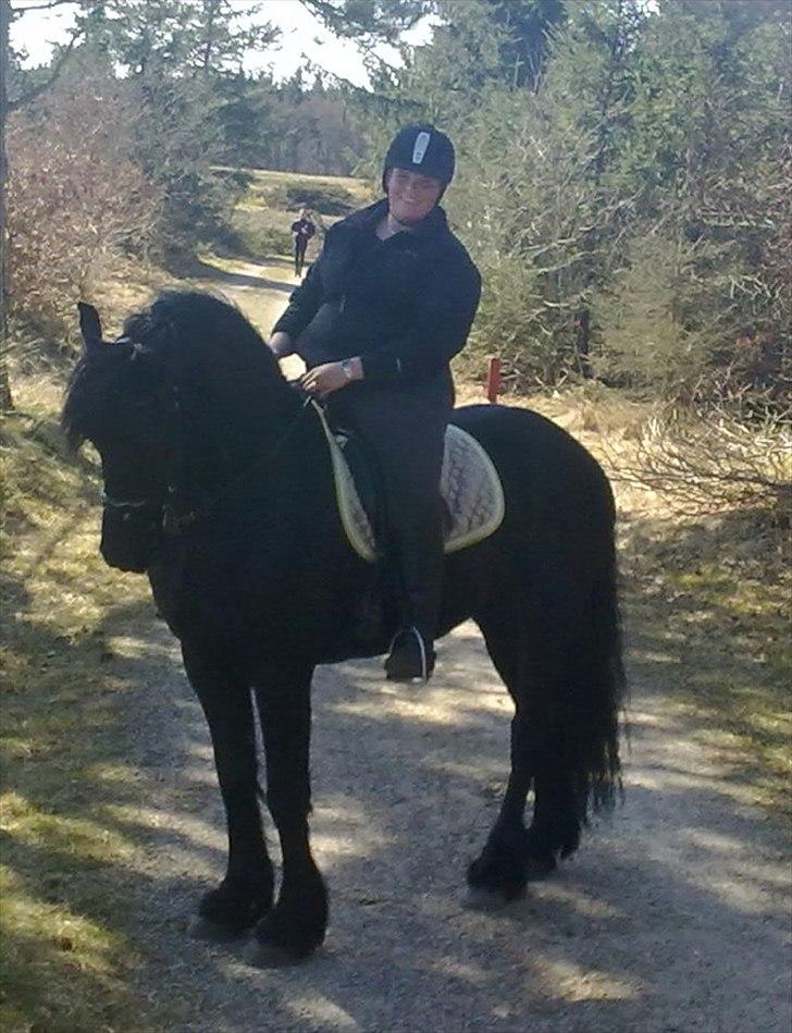 Frieser Jelco van Buren billede 10