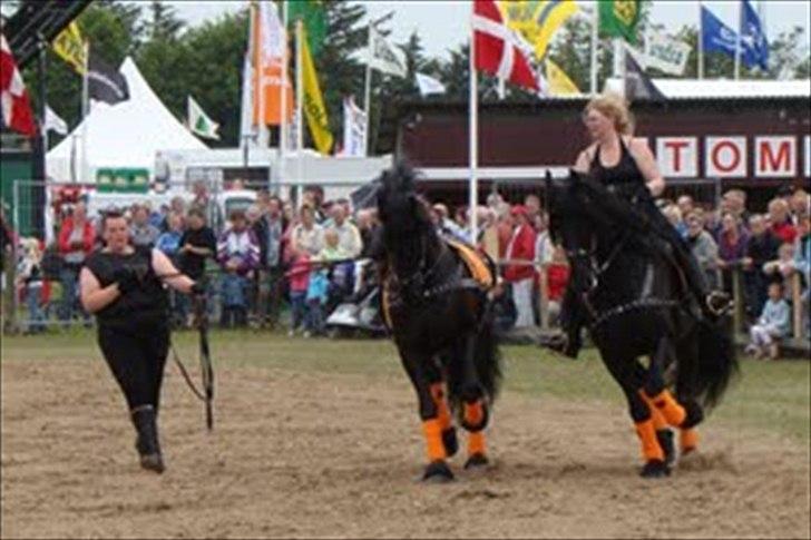 Frieser Jelco van Buren billede 11