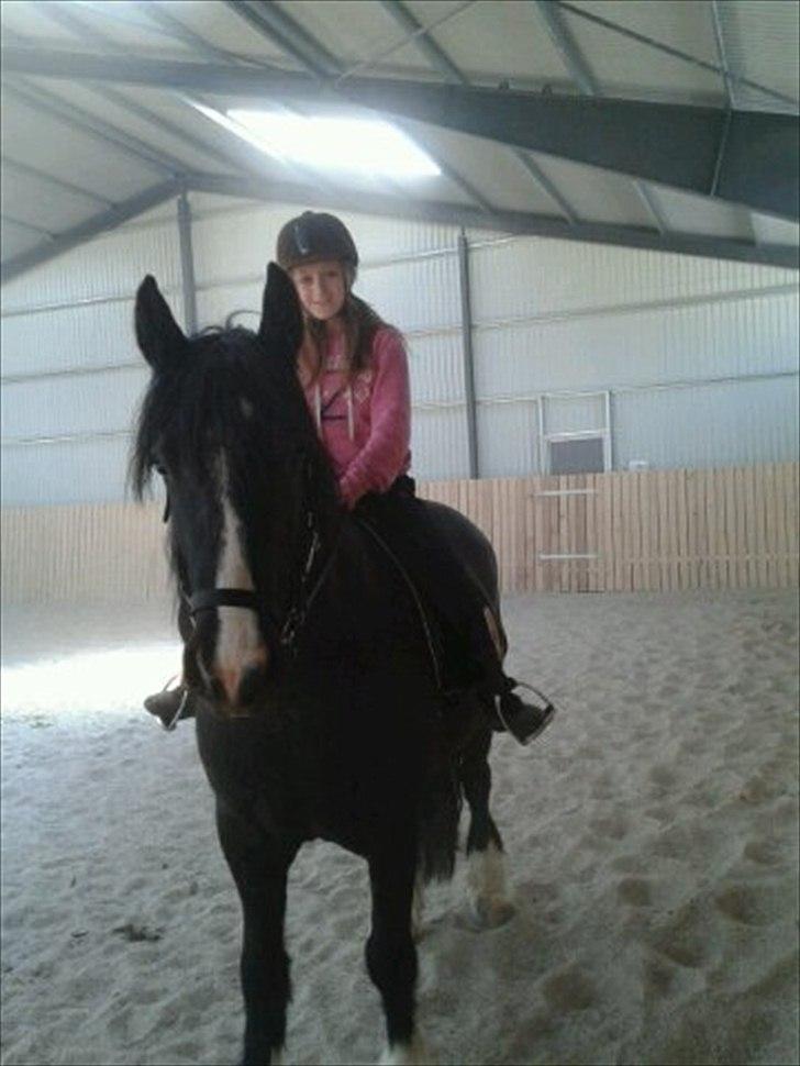 Tinker cheval billede 11