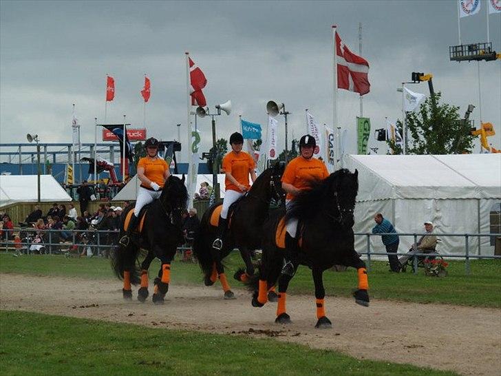 Frieser Jelco van Buren billede 13