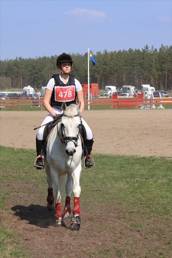 Connemara Nørlunds Cappuccino billede 9