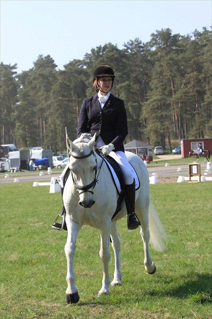 Connemara Nørlunds Cappuccino billede 10