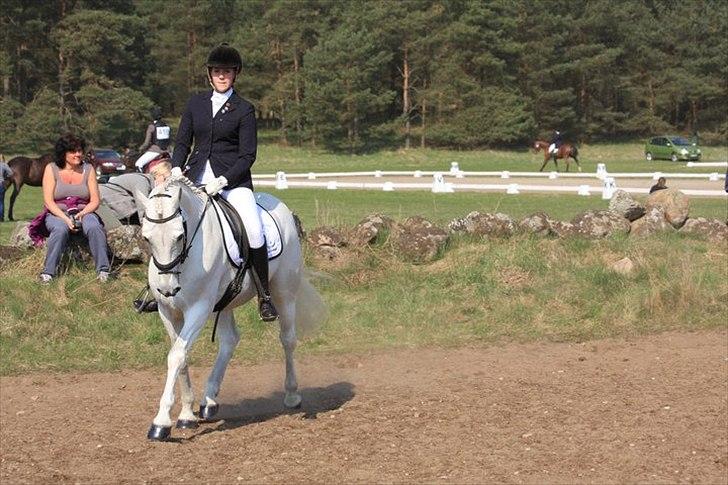 Connemara Nørlunds Cappuccino billede 11