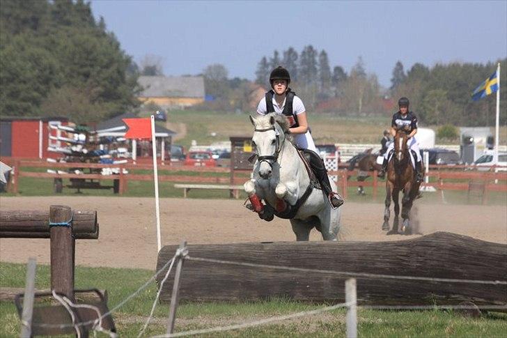 Connemara Nørlunds Cappuccino billede 13