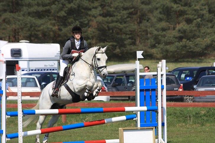 Connemara Nørlunds Cappuccino billede 14