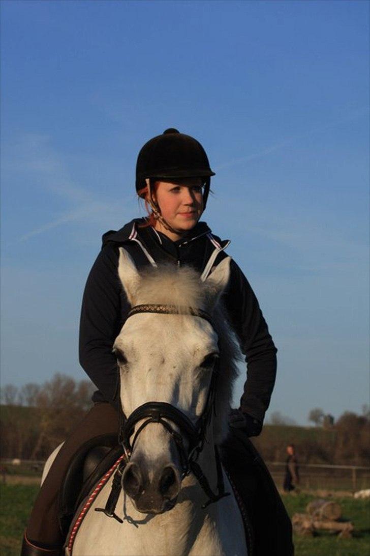 Connemara Nørlunds Cappuccino billede 17