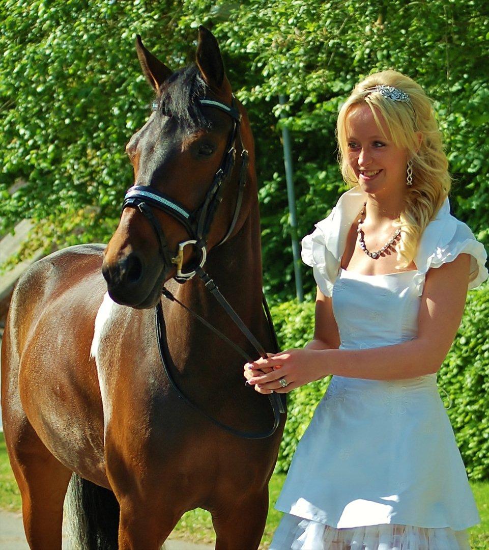 Anden særlig race Penny billede 18