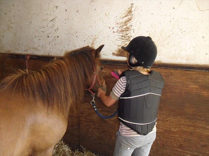 Anden særlig race Mia billede 13