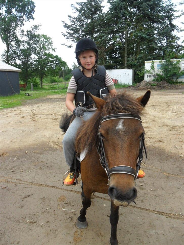 Anden særlig race Mia billede 15