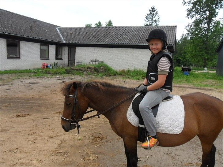 Anden særlig race Mia billede 16