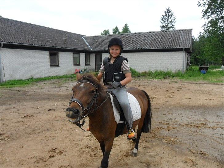 Anden særlig race Mia - Mia smiler lige til fotografen :D billede 17