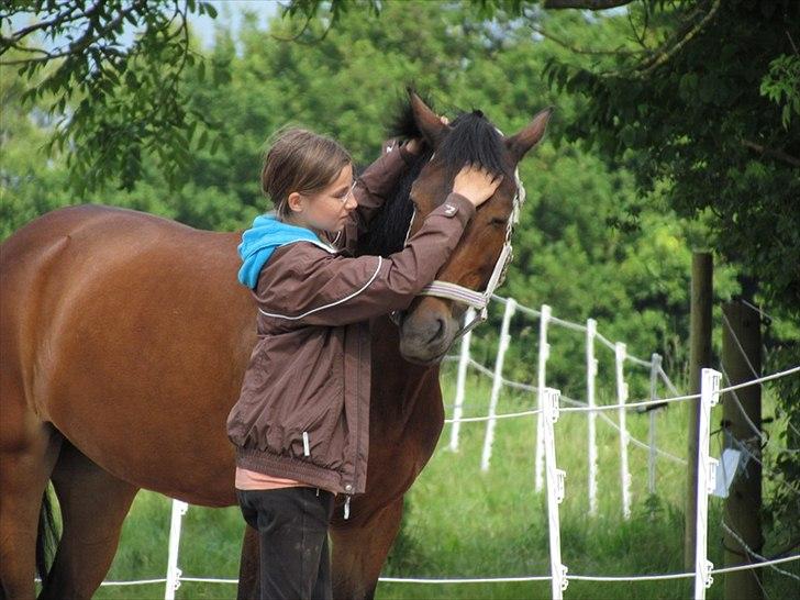 New Forest Quincy - jeg elsker dig!! foto: Louise Andersen billede 13