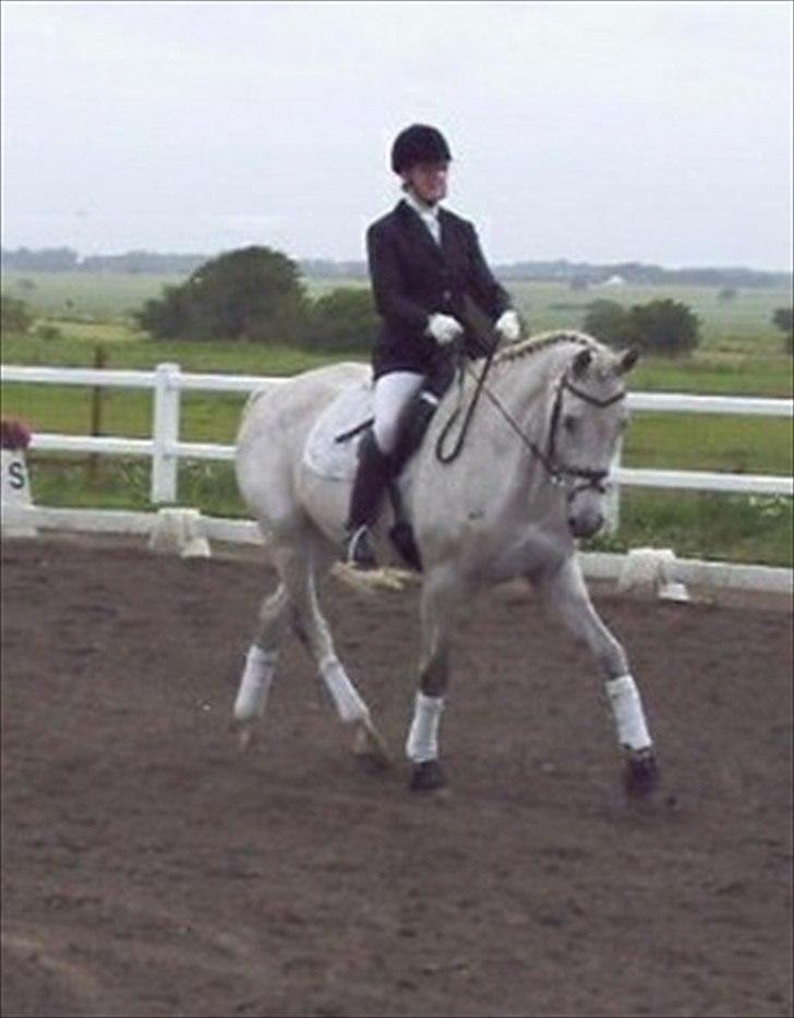 Holstener Loredana billede 8