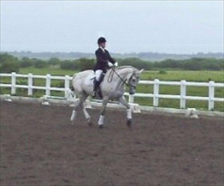 Holstener Loredana billede 9