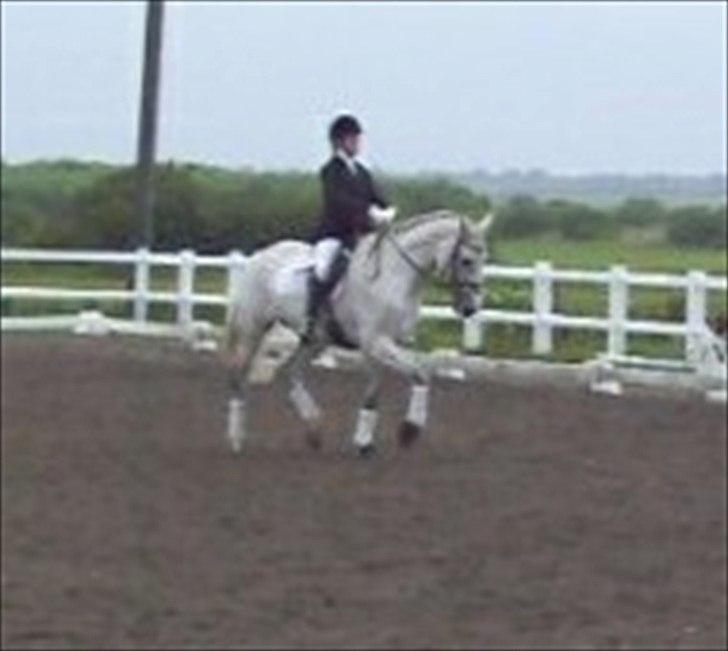 Holstener Loredana billede 11