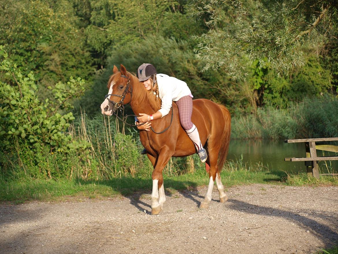 Anden særlig race Fireball - MinBedsteVen <3 - "There's nothing I could say to you. Nothing I could ever do, to make you see what you mean to me" billede 13