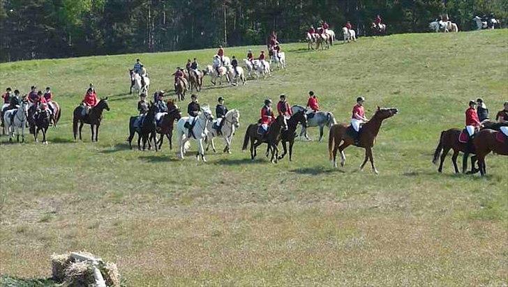 Connemara Philipstatt's Gaia, min soulmate - Fårårs Jagt i Syddjurs rideklub, i Molsbjege, 15 km. :) 2011
Sammen med bedsteveninden og henden pony, og Gaia♥. billede 4