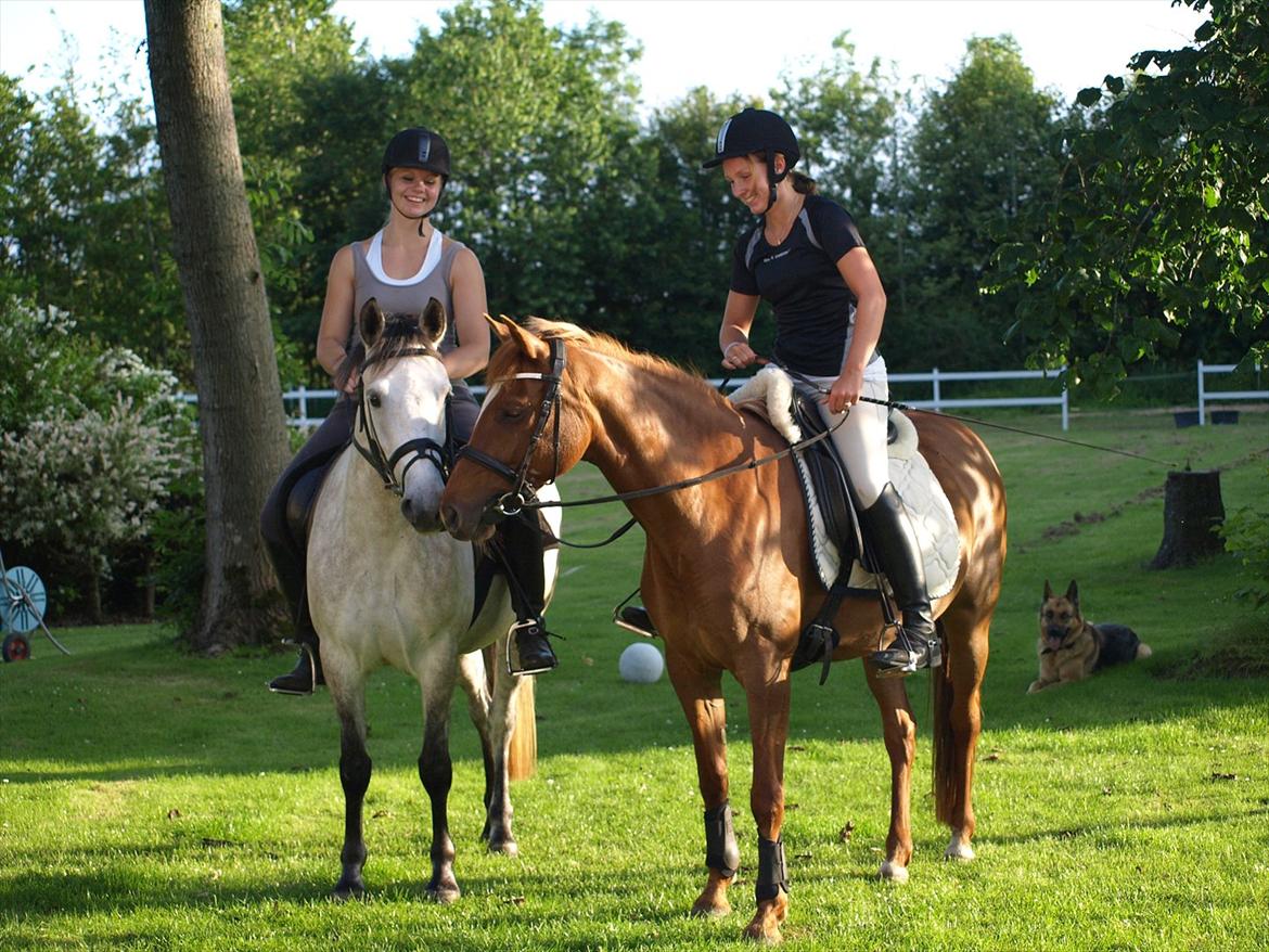 Anden særlig race Lillegårds Tøsen - Kirstine på besøg :-) billede 2