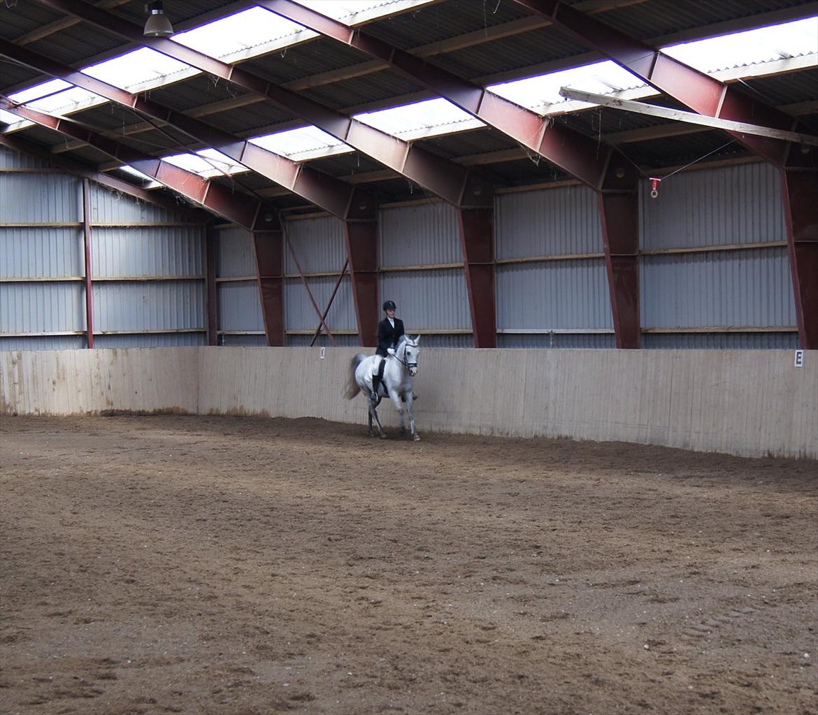 DSP Hannibal - LB1 til 64,28% på bassen! 2011 billede 9