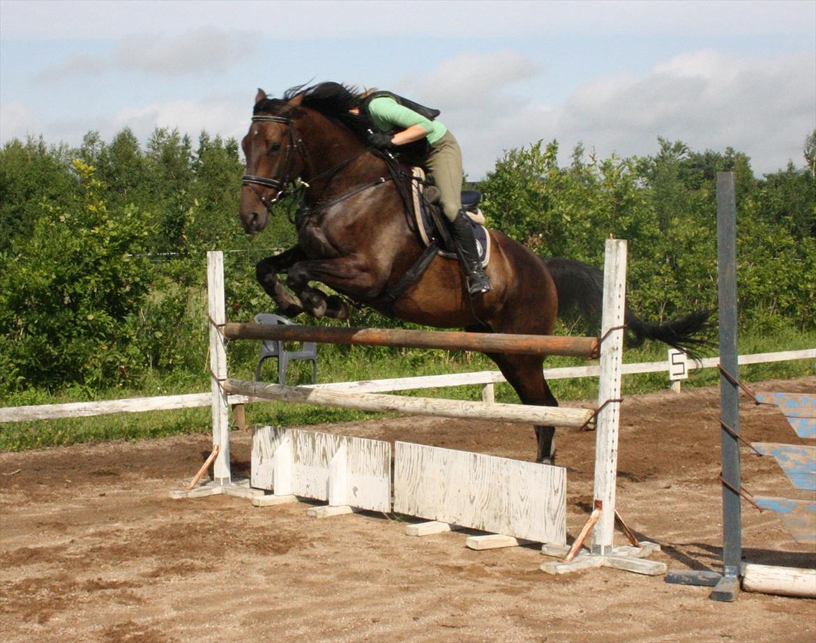 Holstener Enghøjs Minuet - 115 billede 16