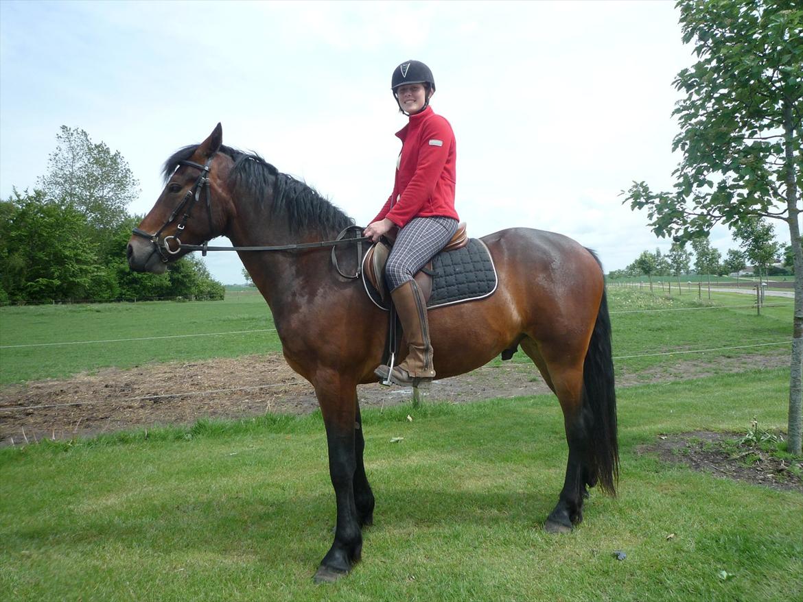 Anden særlig race Bruno - 29-05-2011 billede 7