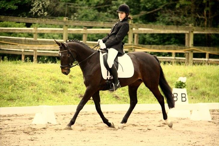 Anden særlig race Holtegårdens Splif billede 12