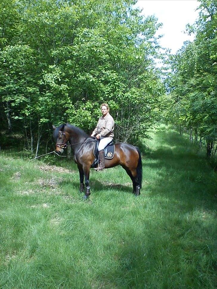 New Forest Holmens Princess - En tur i skoven med mig :)
Maj 2011 billede 2