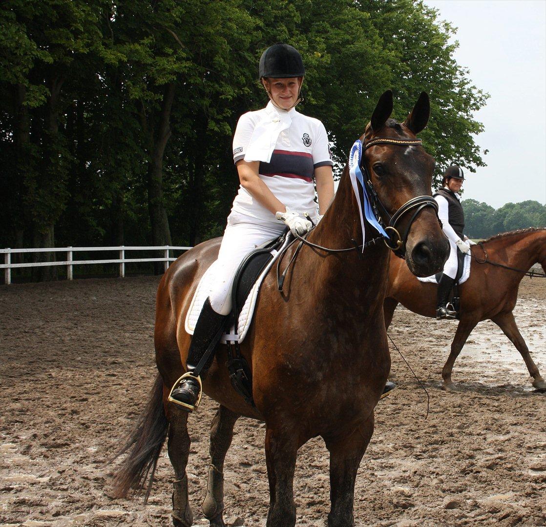 Dansk Varmblod Intakt - 2. plads i LB 1 med 67,78% billede 11