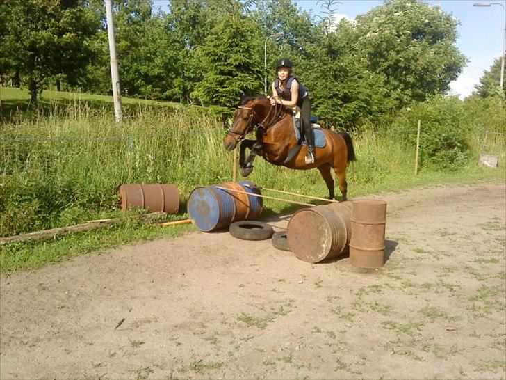 Anden særlig race Prinsesse Flicka - HOP HOP!! billede 6