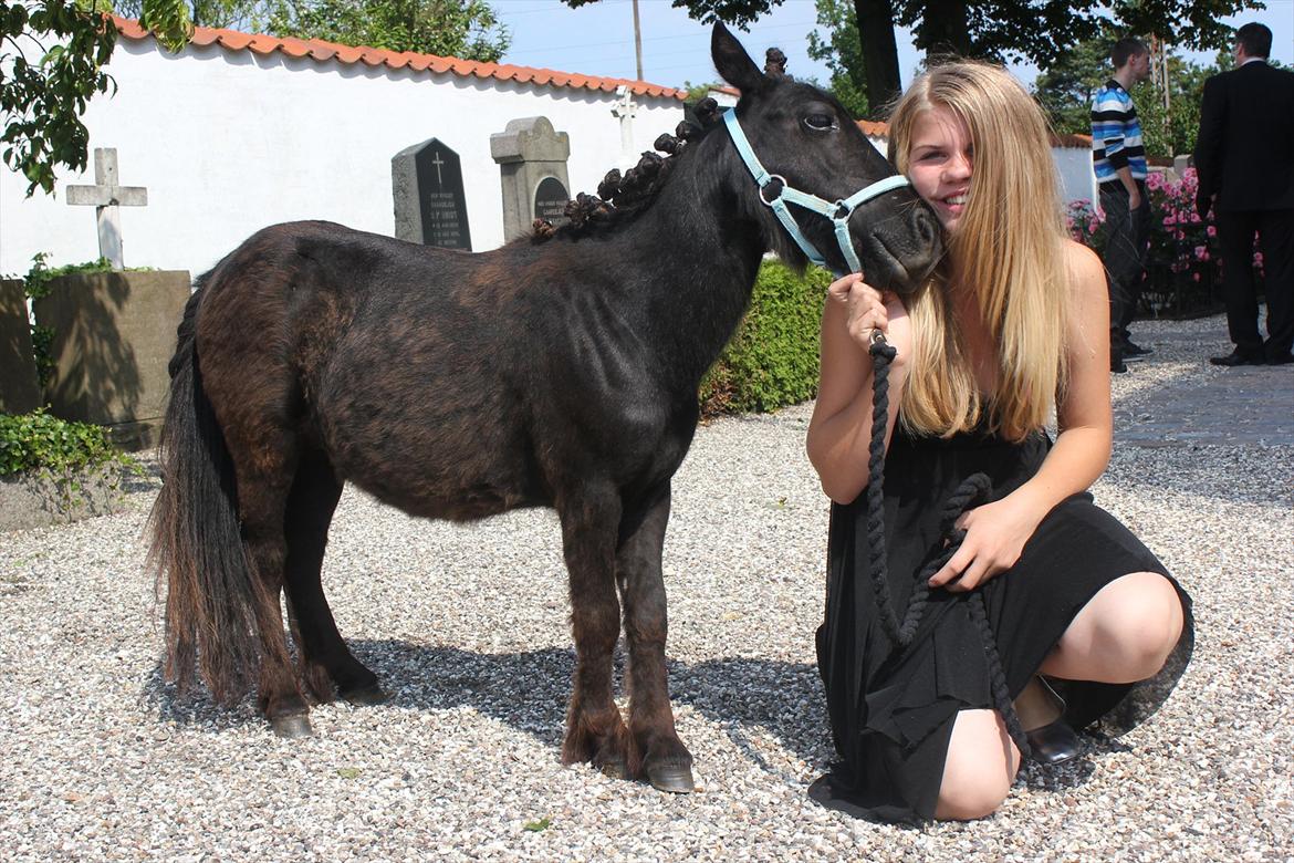 Shetlænder prins chameur - Prins og mig :-)
foto: Laura Bentsen billede 5