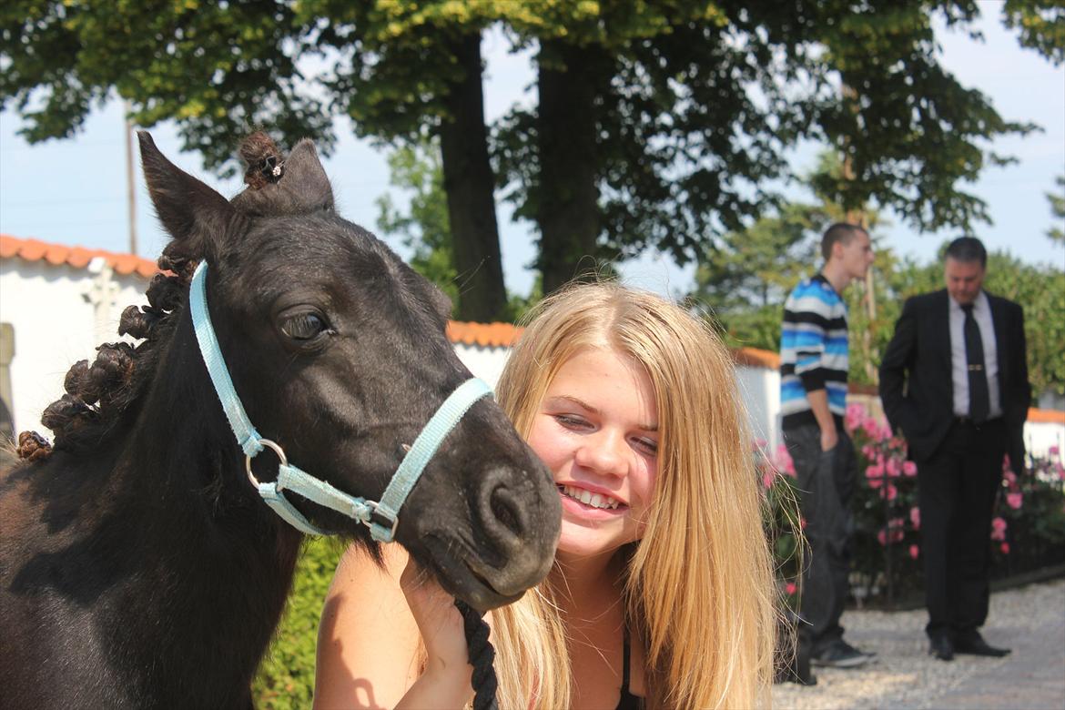 Shetlænder prins chameur - Mig og ham <3
foto: Laura Bentsen billede 3