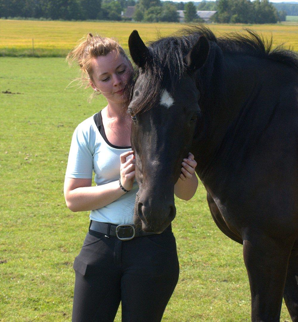 Welsh Cob (sec D) Haymos Chagal <3 Sov sødt <3 - D. 4.7.11
 billede 8