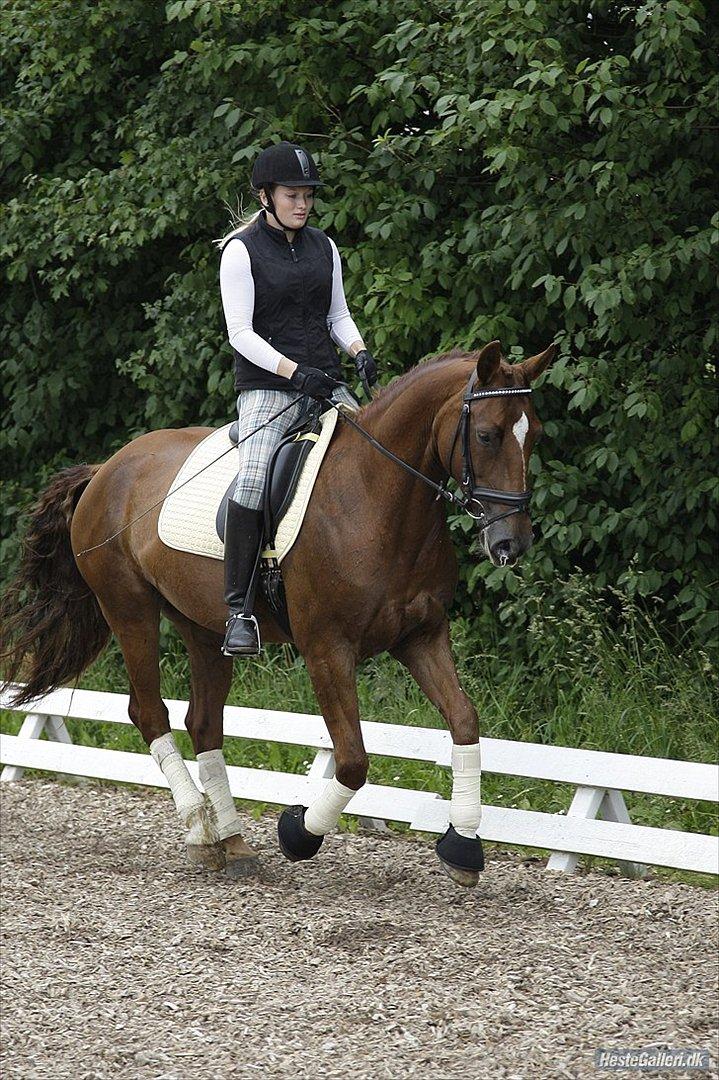 Oldenborg Maylady billede 18