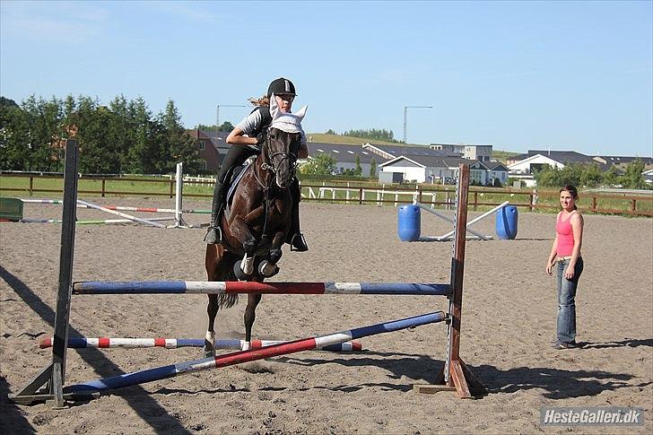 DSP Agerhøjgårds Avance (SOLGT) - Spring træning :D Foto: Heidi Skovgaard billede 10