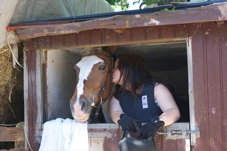 Anden særlig race Angel [tidl. part] billede 1