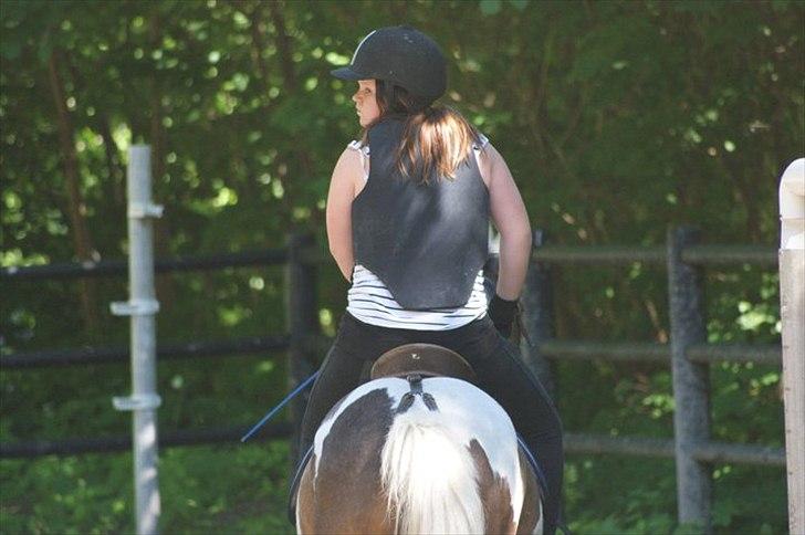 Anden særlig race Angel [tidl. part] billede 2