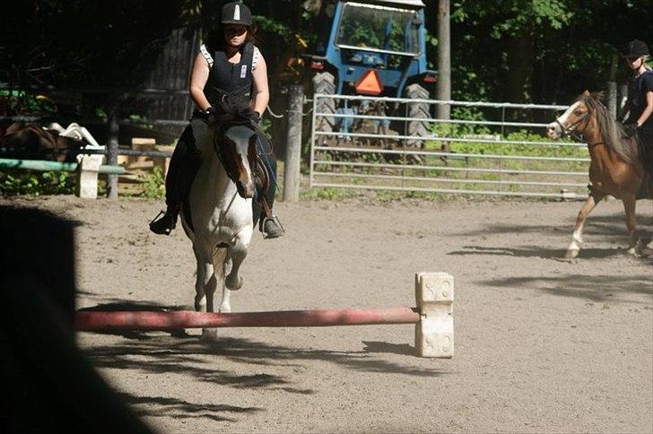 Anden særlig race Angel [tidl. part] billede 3