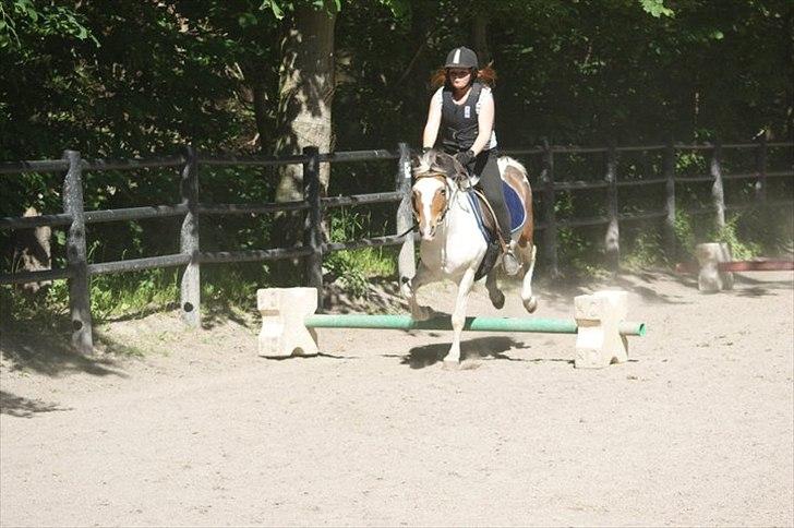 Anden særlig race Angel [tidl. part] billede 5