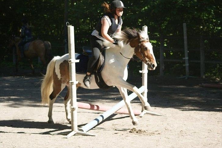 Anden særlig race Angel [tidl. part] billede 6