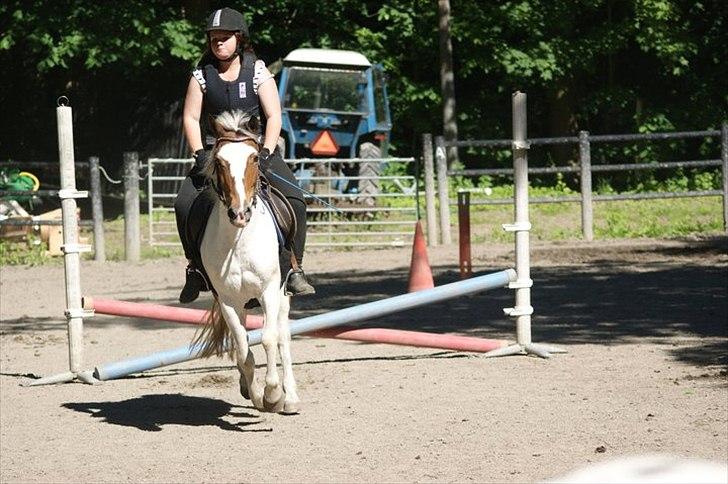 Anden særlig race Angel [tidl. part] billede 9