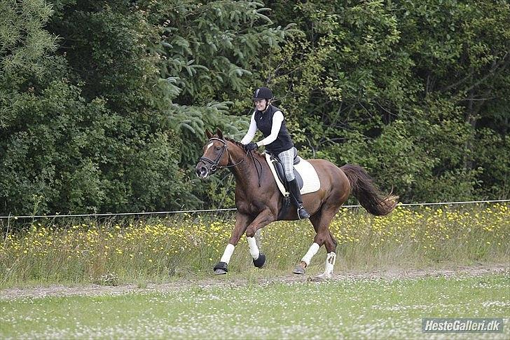 Oldenborg Maylady billede 19