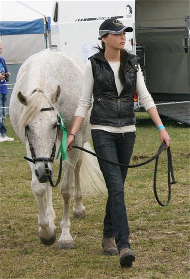 Pura Raza Española : Mimosa XLI | ~ Min Specielle Hoppe ~ billede 3