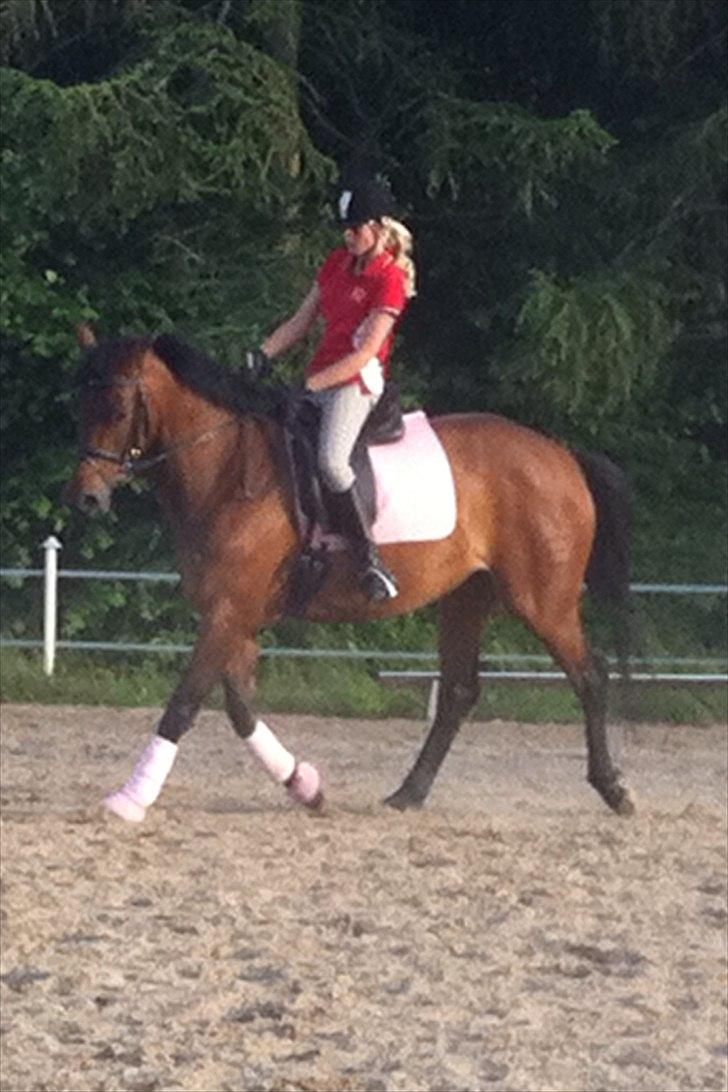 Dansk Varmblod Wolhøjgaards Cati - Cati og mig, i en god undervisnings time..
- Fordi du tager mig tættere på himlen :-*. billede 15