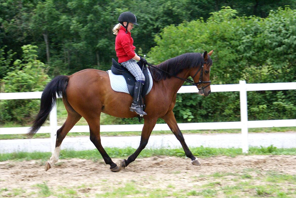 DSP Hedemands Tanita billede 11