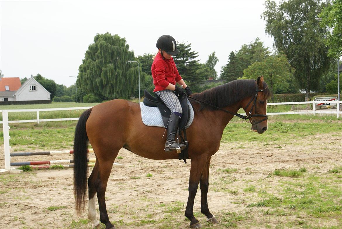 DSP Hedemands Tanita billede 13