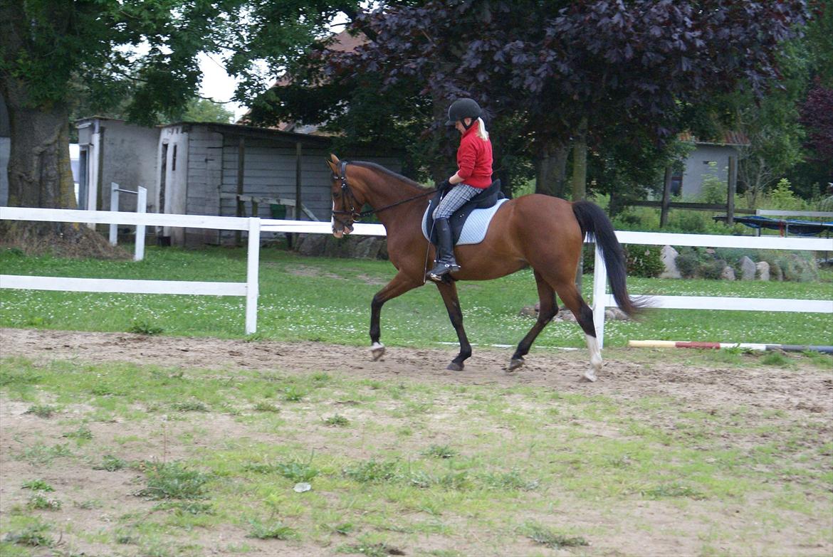 DSP Hedemands Tanita billede 14